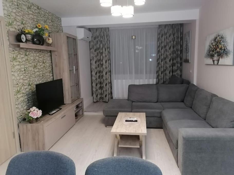 Confortabil, Luminos Apartment